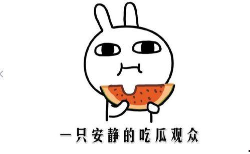 网络吃瓜事件,揭秘网络舆论的狂欢与反思